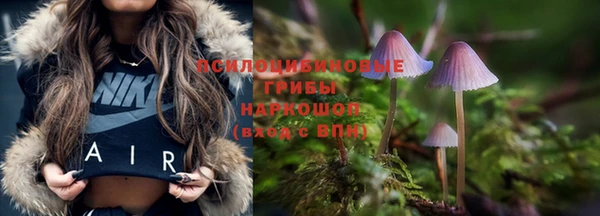 ALPHA PVP Аркадак
