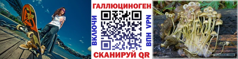 Купить где  Сунжа  Галлюциногенные грибы ЛСД 